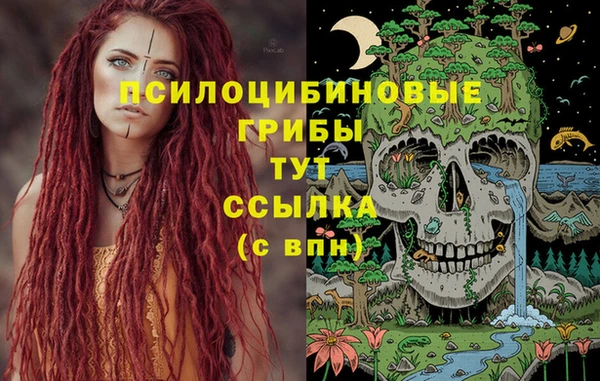 apvp Абаза